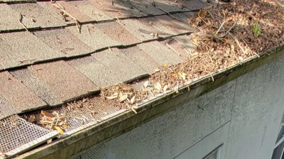 Gotcha Wildlife Removal Photo